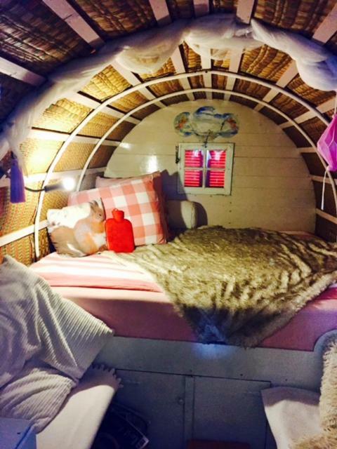 De Oude Nadorst Bed & Breakfast Groningen Bagian luar foto
